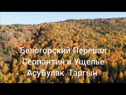 Видео: Белая Гора ⛰️  АсуБулак Жантас АсуБулакский Родник Каменная Река  Aero Восточный Казахстан