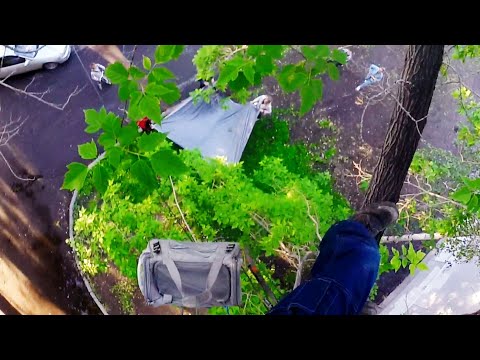 Видео: Великовозрастная Дыма