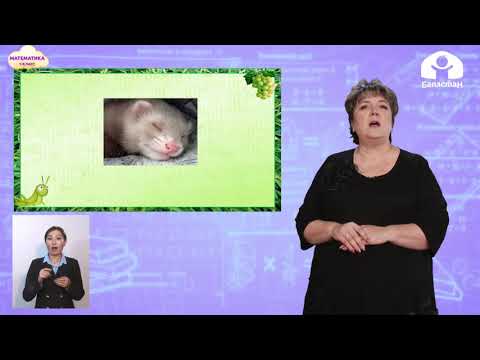 Видео: Математика 1 класс / Слагаемые. Сумма / ТЕЛЕУРОК 3.12.20