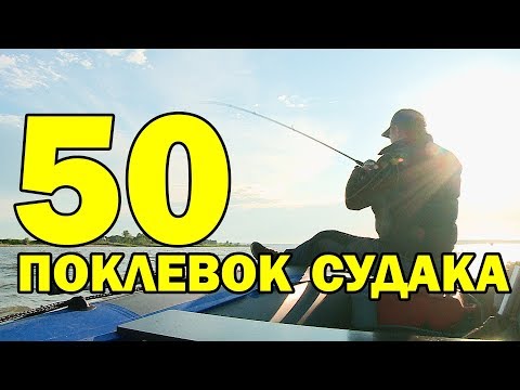 Видео: Как же злобно он клюёт на тяжелый джиг / Простая рыбалка с AikoLand TV