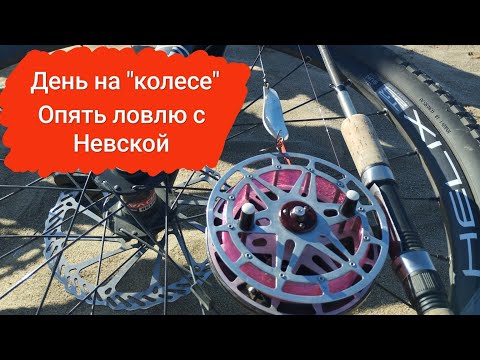 Видео: День на колесе 2023. Рыбалка с Невской катушкой.