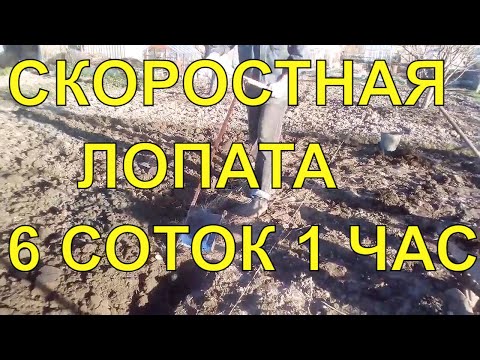 Видео: Лопата вятский пахарь / Чудо лопата