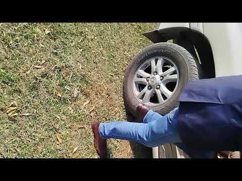 Видео: Депутатка дренаж көйгөйүн жеринде көргөздүк