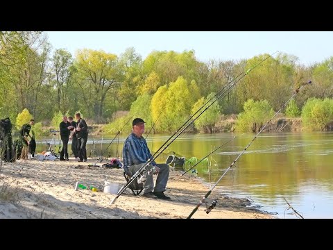 Видео: НЕЙМОВІРНЕ ВІДКРИТТЯ ПО ФІДЕРУ!!! Лящ, Чехонь, трофейна Плітка