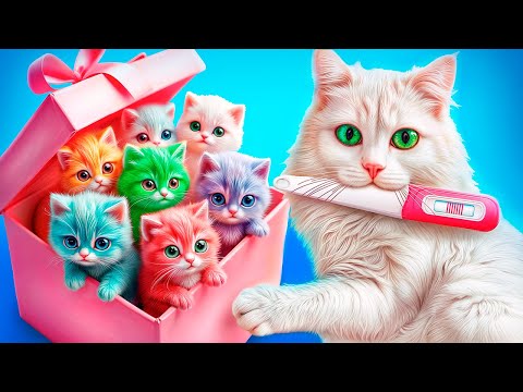 Видео: Мы спасли бездомную кошку! Строим домик для котят