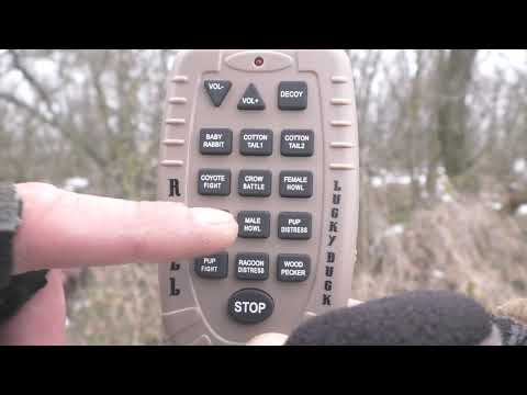 Видео: Электронный манок на хищника Lucky Duck Rebel с визуальной приманкой