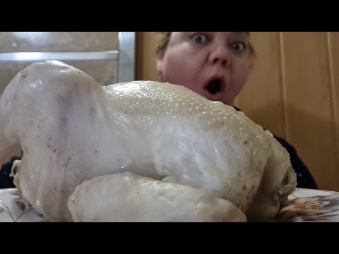 Видео: МУКБАНГ ЦЕЛУЮ КУРИЦУ 3 КГ за 20 минут MUKBANG POLLO ASADO