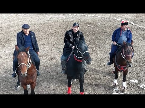 Видео: 17.11.2024 Қазығұрт ауданы Қақпақ ауылы Ержан ағамыздың көкпар тойы