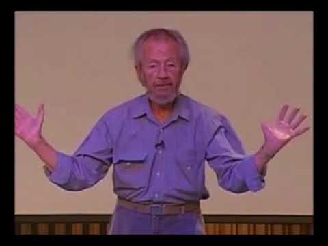 Видео: Дэвид Хокинс о наивысшем Божественном состоянии