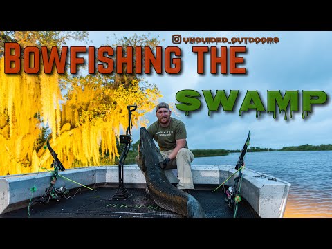 Видео: Рыбалка в солоноватой воде на болоте