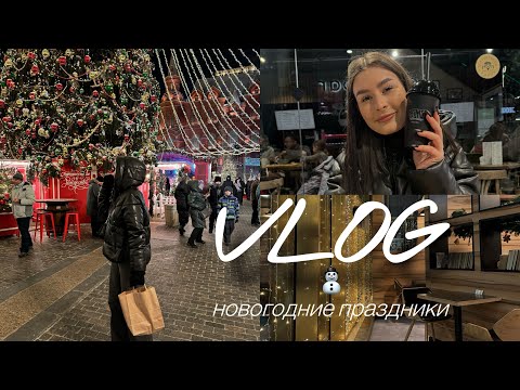 Видео: VLOG: новогодние праздники / приехала в Москву / купила снова куртку