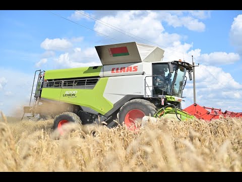 Видео: В СПК им. И. П. Сенько идет активная уборка урожая