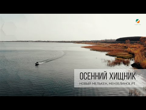 Видео: ЩУЧИЙ ЖОР ОСЕНЬЮ, Татарстан Новый Мелькен