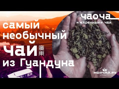 Видео: Самый необычный чай из Гуандуна. Чаоча - "жаренный" чай.