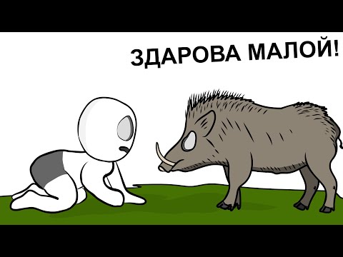 Видео: Как я гонялся за КАБАНОМ... (анимация)