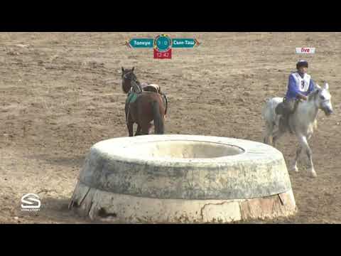 Видео: Көк бөрү 2018  Толкун -Сын таш