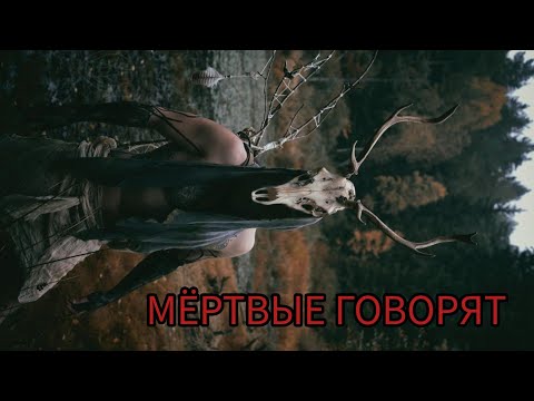 Видео: МЁРТВЫЕ ГОВОРЯТ⭐️🌌⚡️🚀👑МЕДИУМИЗМ💎ЭТО УСЛЫШАТ ТОЛЬКО ИЗБРАННЫЕ✨️