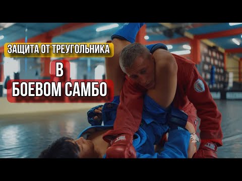 Видео: Защита от треугольника в боевом самбо