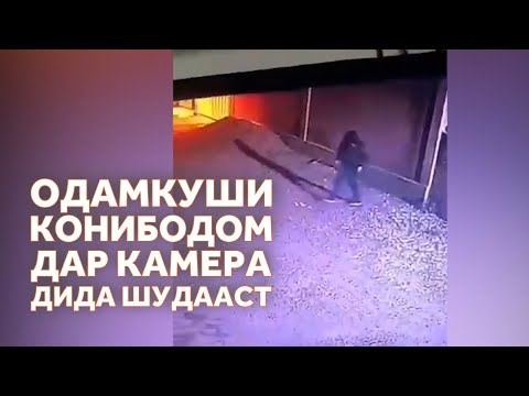 Видео: Сияҳпӯшон дар хонаҳои мардуми ваҳшатзадаи Конибодом чӣ меҷӯянд?