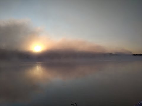 Видео: Рыбалка на фидер летом. Июнь - на рыбалку плюнь? Уходим от нуля на Вилейке