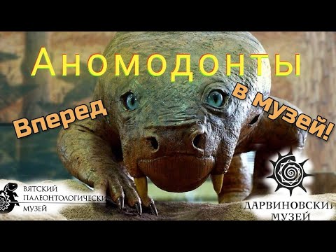 Видео: Дарвиновский музей. Выставка Вятского Палеонтологического. Аномодонты.