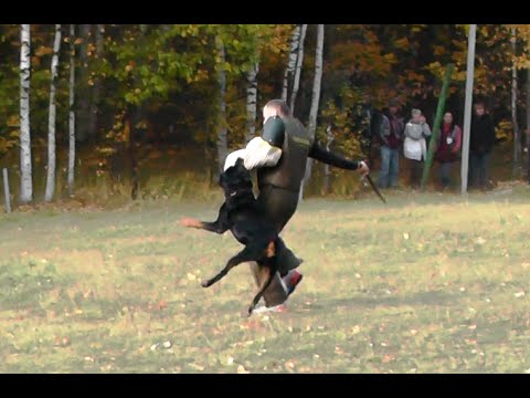 Видео: Кубок Москвы 2014 г. по ОКД и ЗКС.