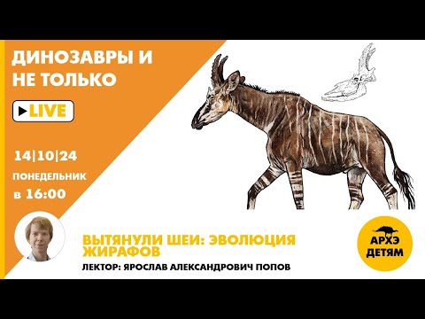 Видео: Занятие "Вытянули шеи: эволюция жирафов" кружка "Динозавры и не только" с Ярославом Поповым