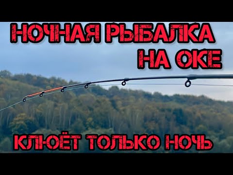 Видео: НОЧНАЯ РЫБАЛКА на ОКЕ КРУПНЯК КЛЮЁТ только НОЧЬЮ