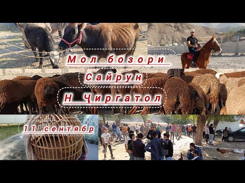 Видео: 💥💥мол бозори н. Ҷиргатол . бозори сайрун 💥💥👍👍