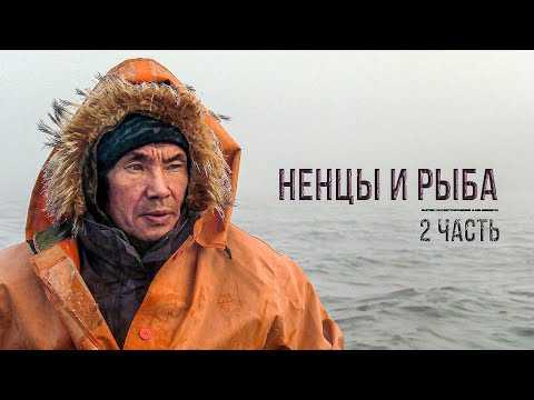 Видео: Ненцы и рыба. Промысел ряпушки на Крайнем Севере (2 часть) | С полем!