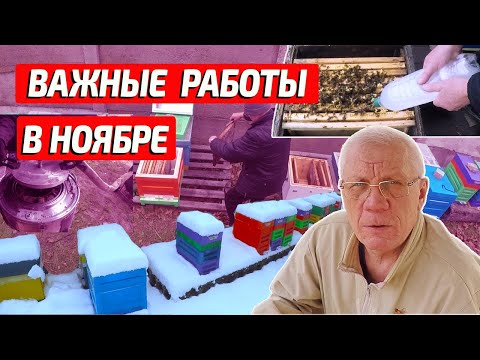 Видео: Основные работы на пасеке в ноябре.