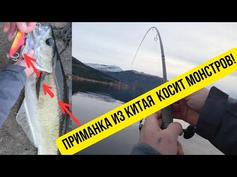 Видео: Китайская приманка косит монстров в Норвегии 😱 Рыбалка с неожиданным финалом! 🎣