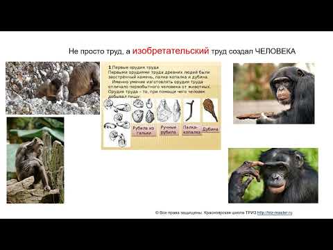 Видео: иЗОБРЕТАТЕЛЬ   КЛЮЧЕВАЯ ФИГУРА