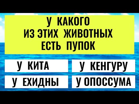 Видео: Вы настоящий ГЕНИЙ, если наберете хотя бы 15 из 20. Тест на эрудицию