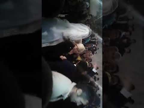 Видео: Машиназация туй