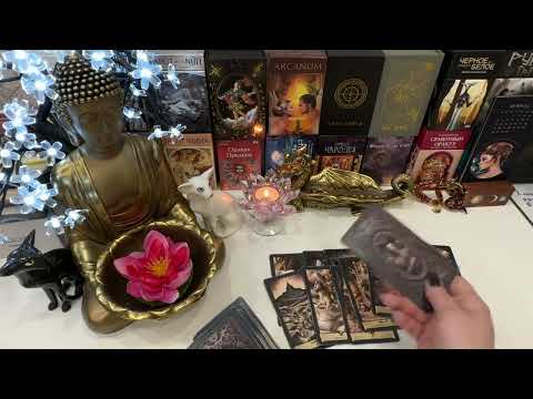 Видео: 🤦🏻‍♀️🤦🏻‍♀️🤦🏻‍♀️ЧТО В ДОМЕ ВРАГА ⁉️ДОИГРАЛИСЬ‼️