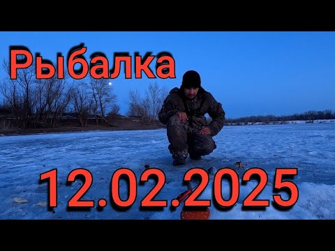 Видео: Рыбалка на поплавок 12 февраля 2025 г. на озере!Вечерний выход карася зимой – клюет как летом!