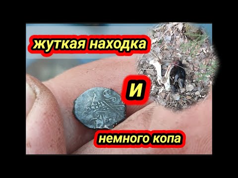 Видео: Немного весеннего копа 2025 и жуткая находка в лесу