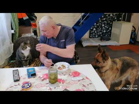 Видео: Папа пришел с работы😆😆😆