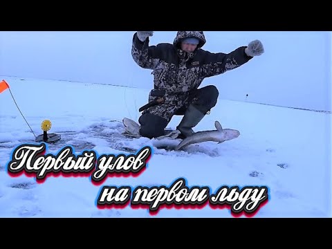 Видео: Первый лед на р. Индигирка. Якутия.