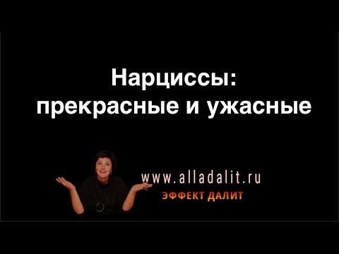 Видео: Алла Далит. Нарциссы.