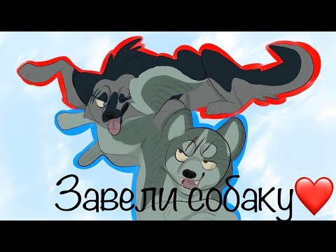 Видео: Короче говоря: Мы завели собаку.  Пони креатор.