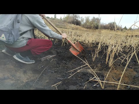Видео: КОП МЕТАЛЛОЛОМА! КАЗАХСТАН, ОКРЕСНОСТИ АЛМАТЫ! Добываю металлолом! Медь!
