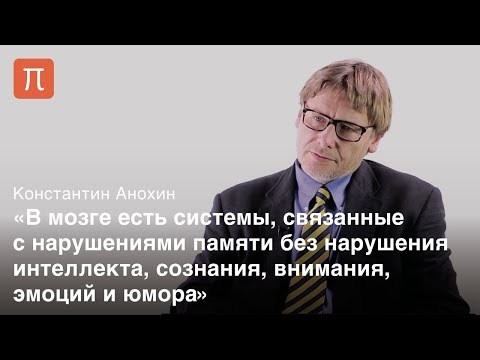 Видео: Потерянная память и история H.M. - Константин Анохин