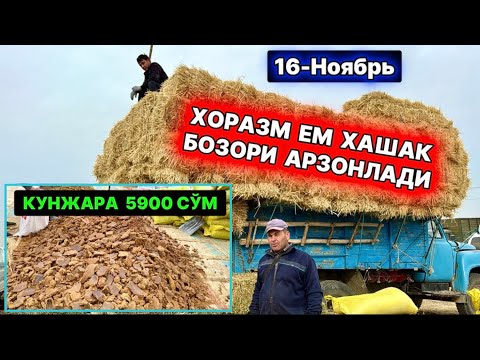 Видео: КУНЖАРА АРЗОНЛАДИ… ХОРАЗМ ЕМ ХАШАК БОЗОРИ УРГАНЧ ҒОЙБУ 16-ноября 2025 г.