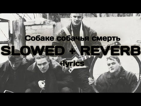 Видео: Свидетельство о смерти - Собаке собачья смерть (slowed+reverb+lyrics) 🚬