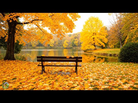 Видео: СНОВА ОСЕНЬ🍁 Эту музыку можно слушать вечно !!! Самая Красивая Музыка До слез ,,ЗОЛОТОЕ ВРЕМЯ
