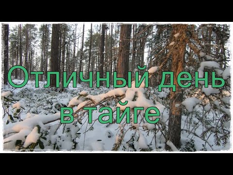 Видео: Охота.Рыбалка.Хороший день.Изба.