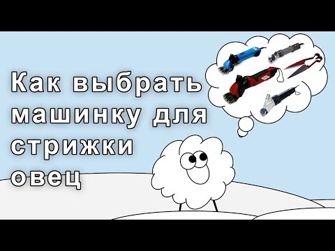 Видео: Выбираем машинку для стрижки овец - Kaison, EWE, GTS, Heiniger..