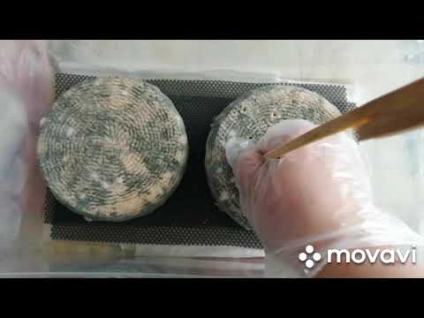 Видео: Продолжение сырной истории сыра "ДОР БЛЮ"